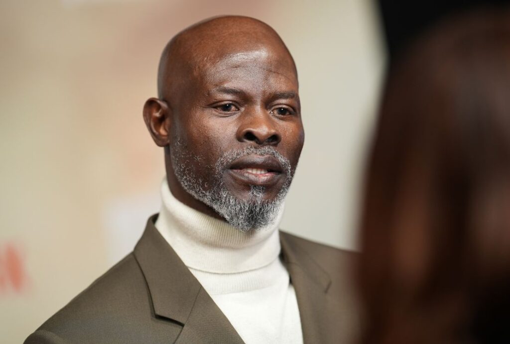 Djimon Hounsou Net Worth